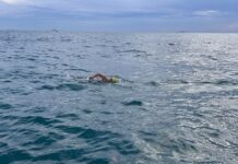 Historyczne osiągnięcie i triumf Polki: przepłynęła kanał La Manche