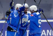 Polskie zwycięstwo w Hokejowej Lidze Mistrzów