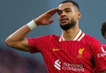 Salah zapewnił Gakpo 10 asyst – tylko dwóch graczy otrzymało ich więcej