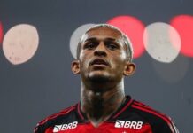 Wilki nie ustają w pogoni za transferem